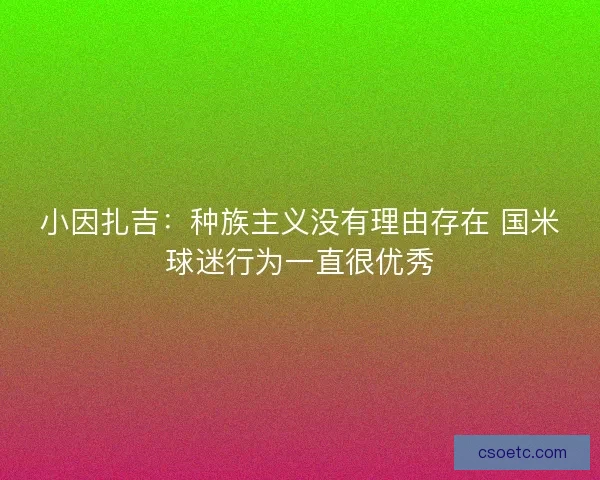小因扎吉：种族主义没有理由存在 国米球迷行为一直很优秀