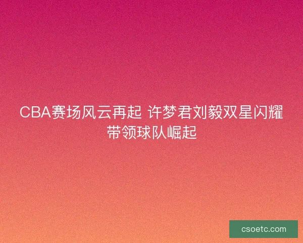 CBA赛场风云再起 许梦君刘毅双星闪耀带领球队崛起 CBA赛场风云再起 许梦君刘毅双星闪耀带领球队崛起