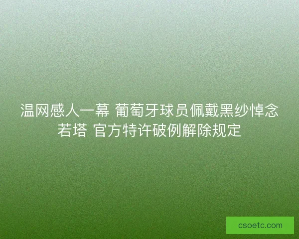 温网感人一幕 葡萄牙球员佩戴黑纱悼念若塔 官方特许破例解除规定