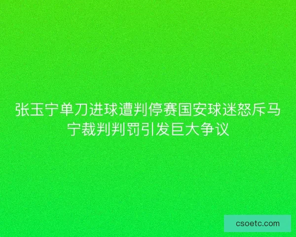 张玉宁单刀进球遭判停赛国安球迷怒斥马宁裁判判罚引发巨大争议 张玉宁单刀进球遭判停赛国安球迷怒斥马宁裁判判罚引发巨大争议